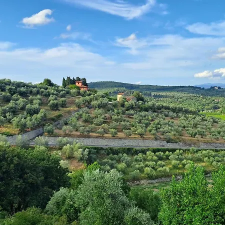 The House In Troghi